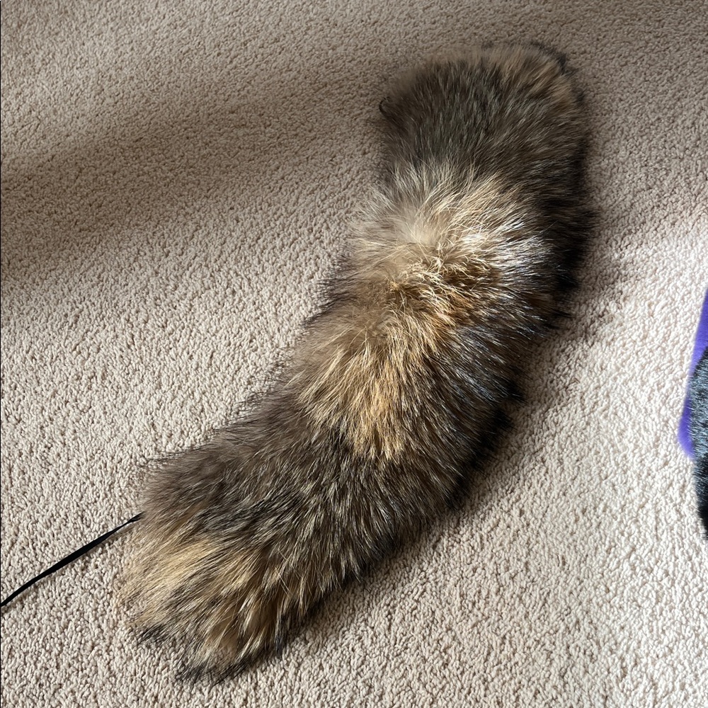 Raccoon wrap